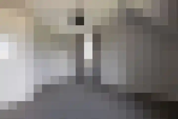 Paltrokstraat 17 Kootwijkerbroek thumbnail 25