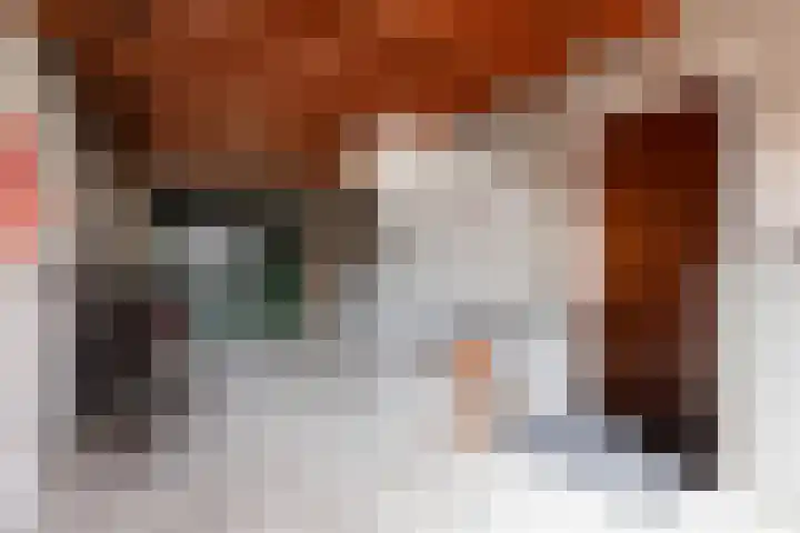 Paltrokstraat 17 Kootwijkerbroek thumbnail 33