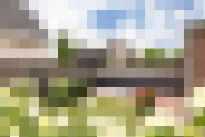 Paltrokstraat 17 Kootwijkerbroek thumbnail 38