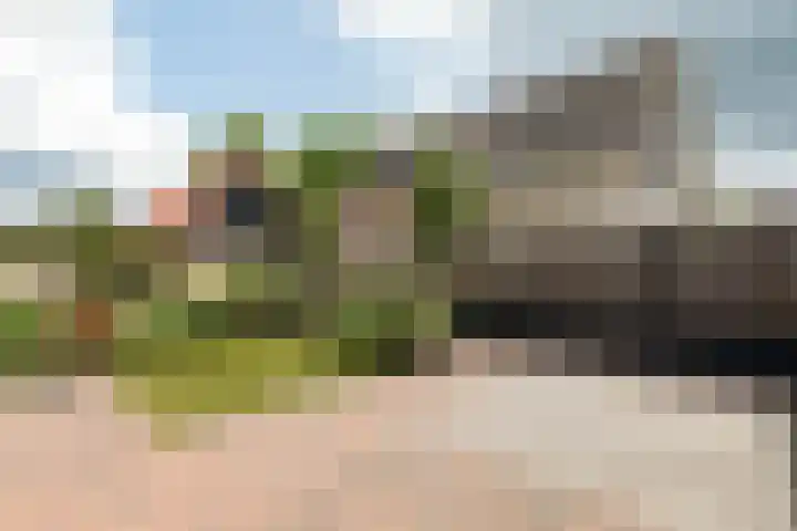 Paltrokstraat 17 Kootwijkerbroek thumbnail 4