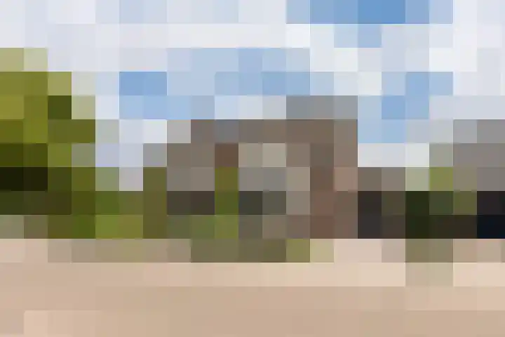 Paltrokstraat 17 Kootwijkerbroek thumbnail 6