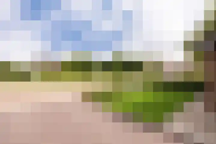 Paltrokstraat 17 Kootwijkerbroek thumbnail 7