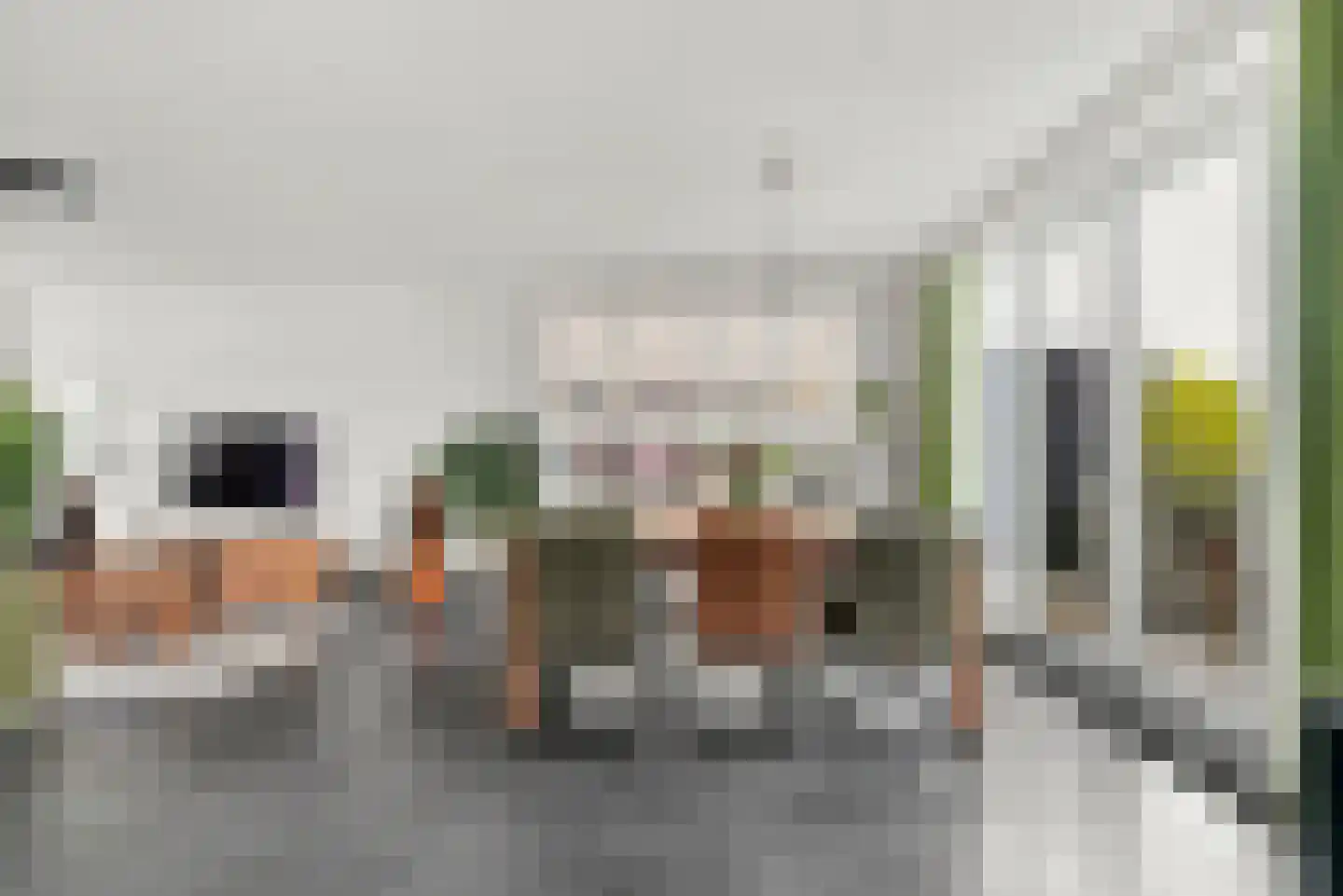 Palts 2 Oost-Souburg thumbnail 10
