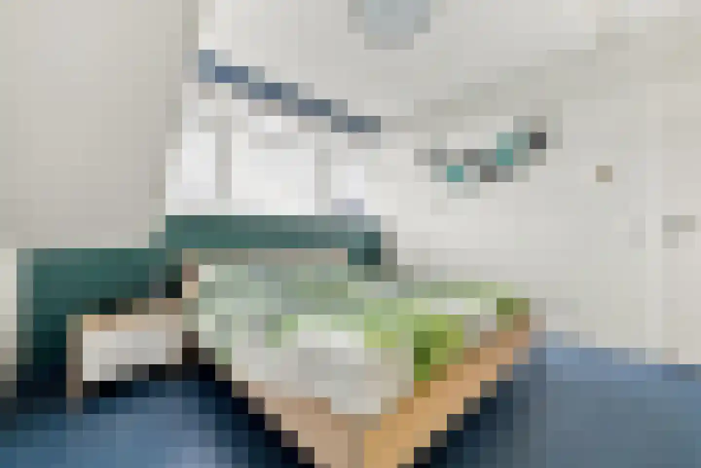 Palts 2 Oost-Souburg thumbnail 15