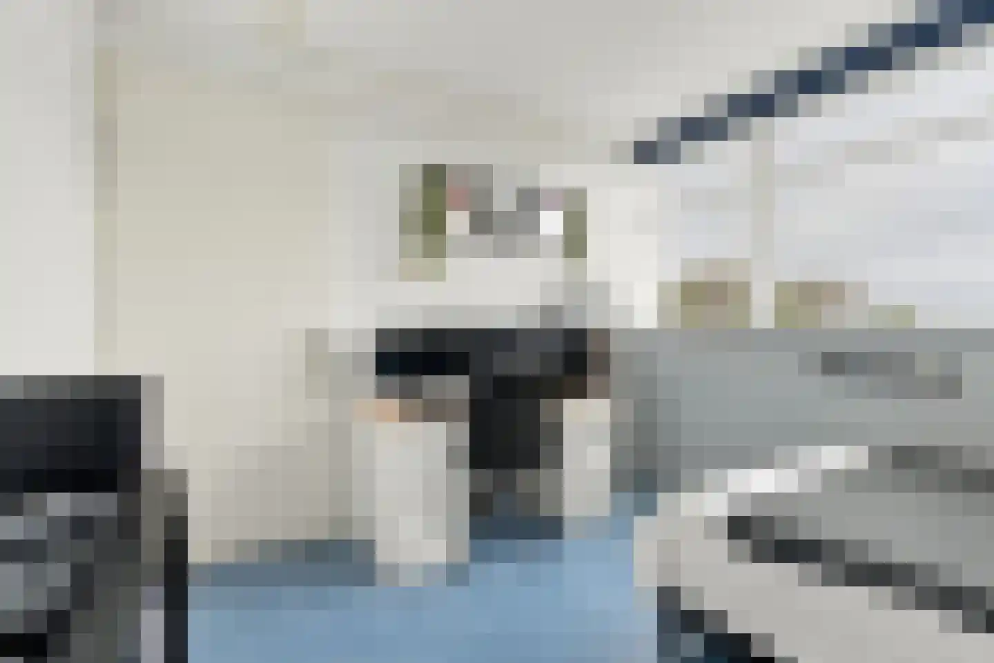 Palts 2 Oost-Souburg thumbnail 17