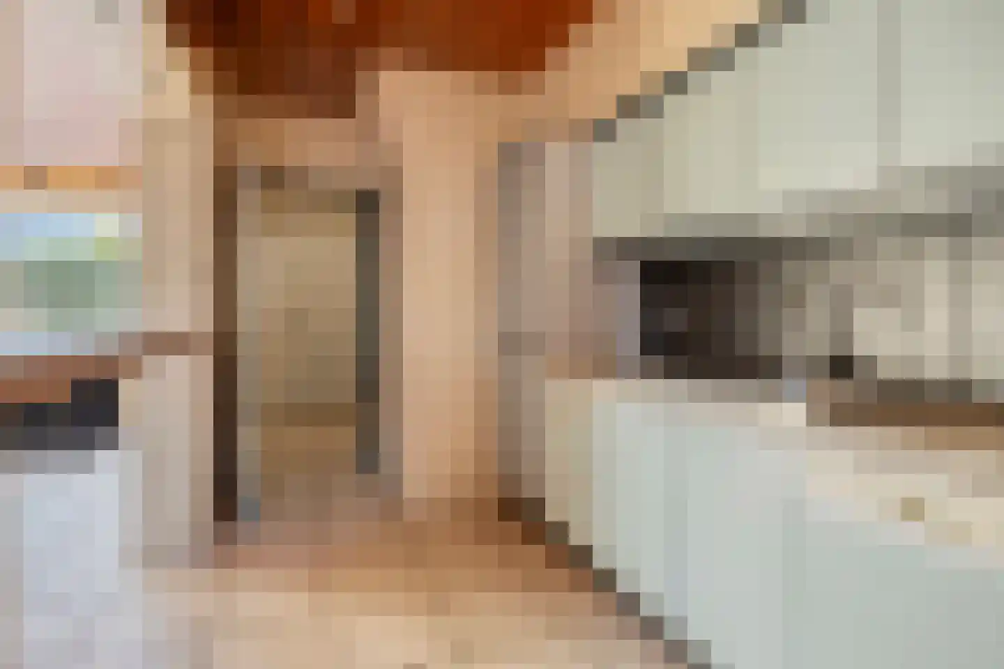 Paltsstraat 16 Maastricht thumbnail 9