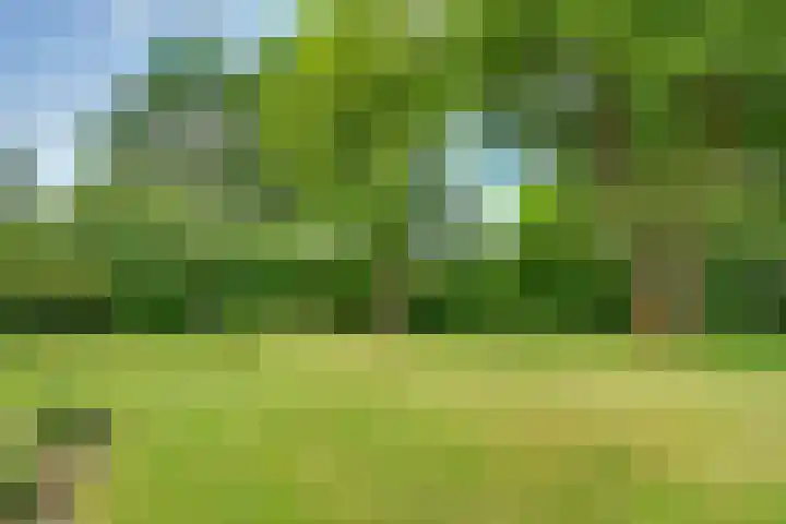 Paltzerweg 129 Bilthoven thumbnail 34