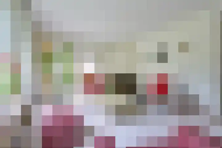 Paltzerweg 163 Den Dolder thumbnail 10