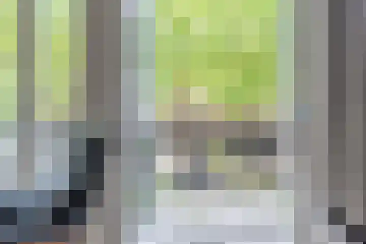 Paltzerweg 163 Den Dolder thumbnail 15