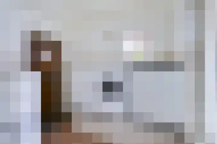 Paltzerweg 163 Den Dolder thumbnail 19