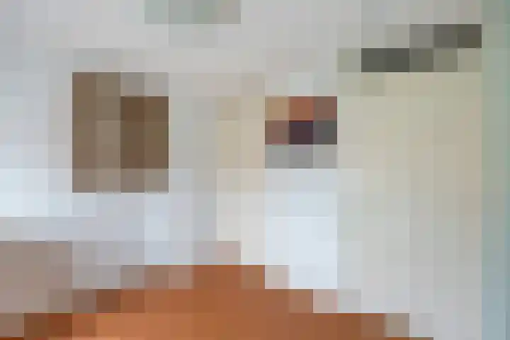 Paltzerweg 163 Den Dolder thumbnail 26
