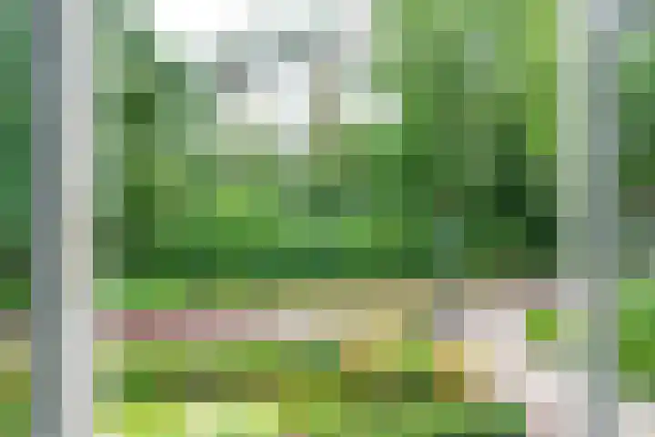 Paltzerweg 163 Den Dolder thumbnail 29