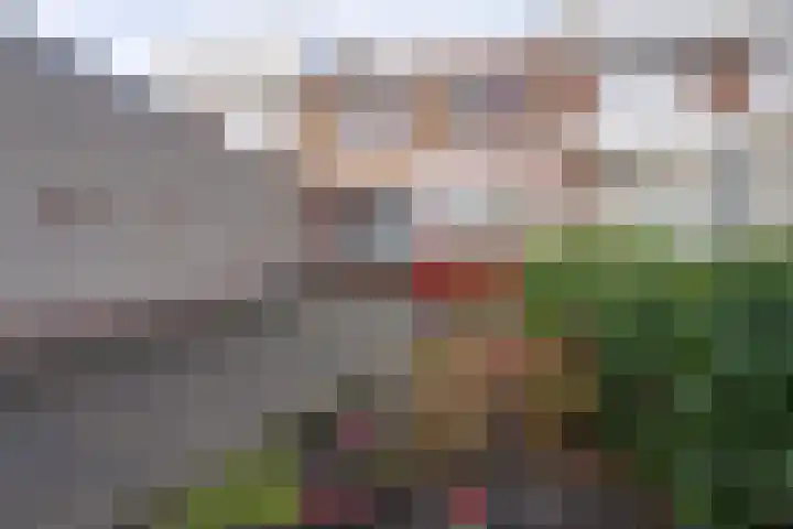 Paltzerweg 163 Den Dolder thumbnail 31