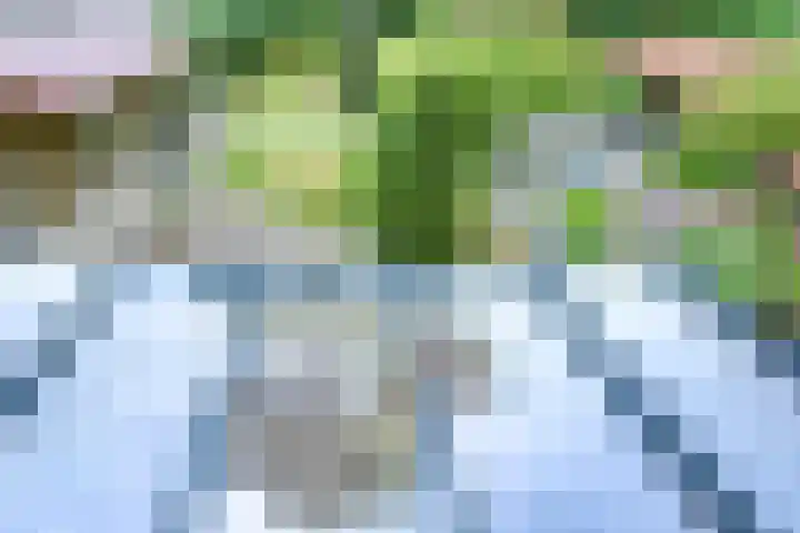 Paltzerweg 163 Den Dolder thumbnail 32
