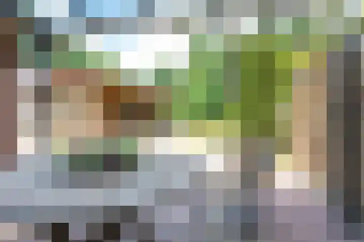 Paltzerweg 163 Den Dolder thumbnail 38