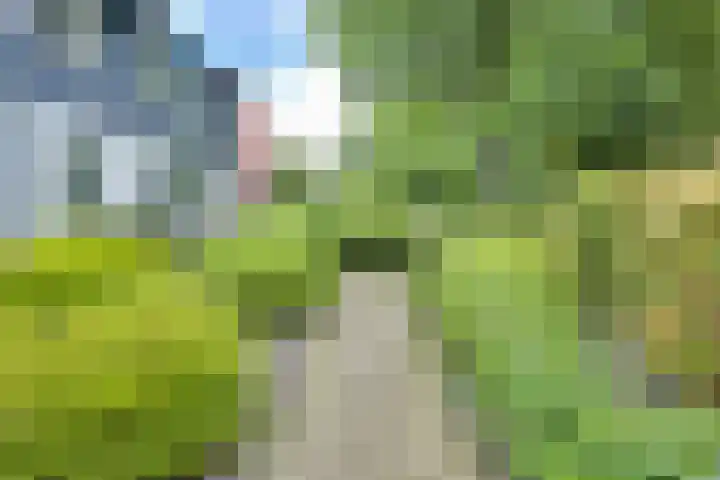 Paltzerweg 163 Den Dolder thumbnail 4
