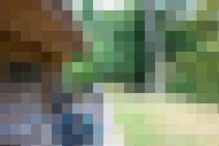 Paltzerweg 163 Den Dolder thumbnail 44