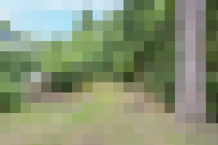 Paltzerweg 163 Den Dolder thumbnail 46