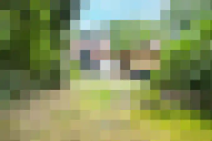Paltzerweg 163 Den Dolder thumbnail 47