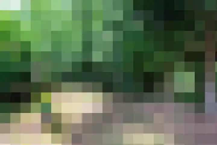 Paltzerweg 163 Den Dolder thumbnail 51