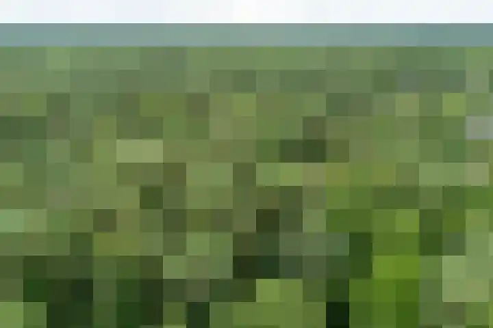 Paltzerweg 163 Den Dolder thumbnail 55