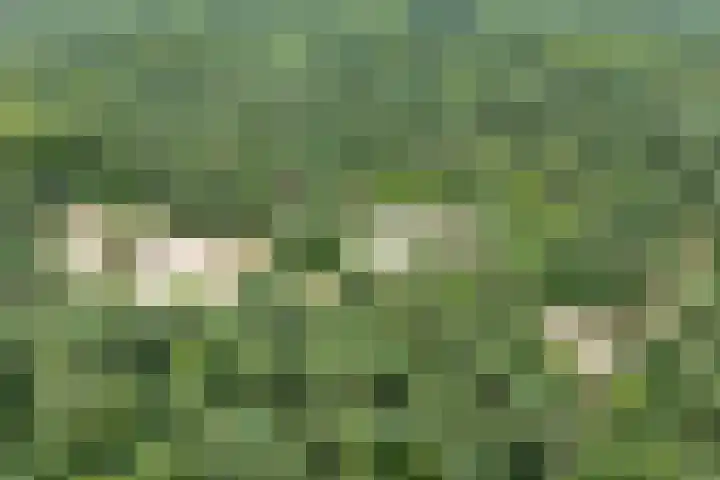 Paltzerweg 163 Den Dolder thumbnail 56