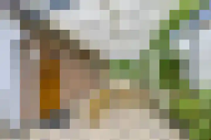 Paltzerweg 163 Den Dolder thumbnail 6