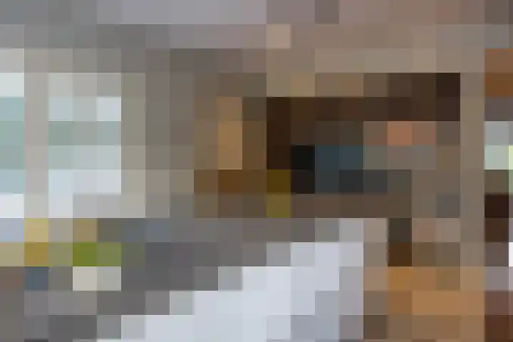 Paltzerweg 183 Den Dolder thumbnail 10