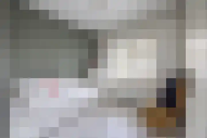 Paltzerweg 183 Den Dolder thumbnail 21