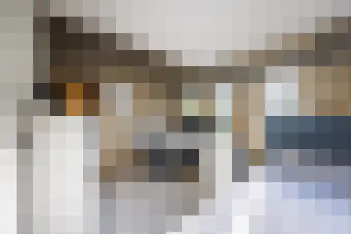 Paltzerweg 183 Den Dolder thumbnail 44