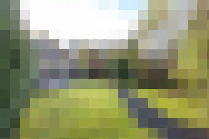 Paltzerweg 183 Den Dolder thumbnail 46