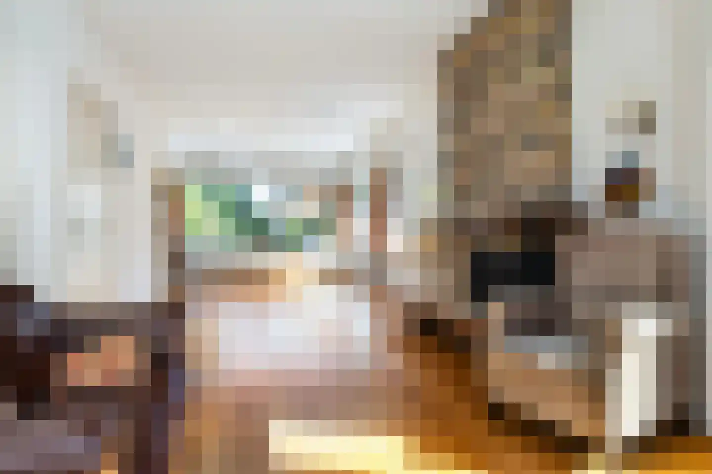 Paltzerweg 185 Den Dolder thumbnail 12