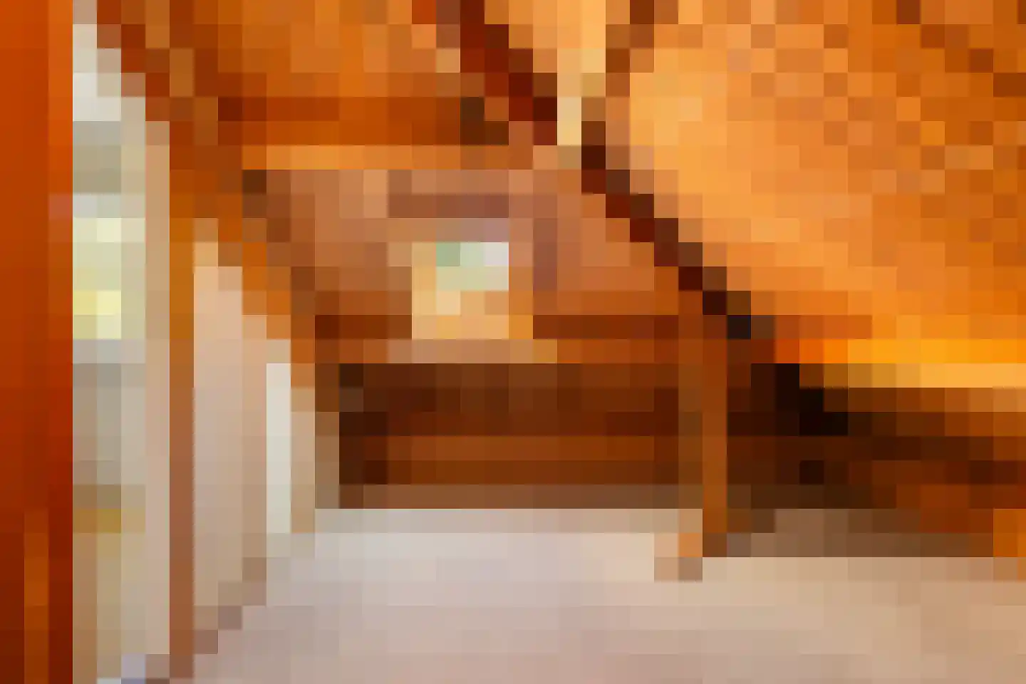 Paltzerweg 185 Den Dolder thumbnail 27