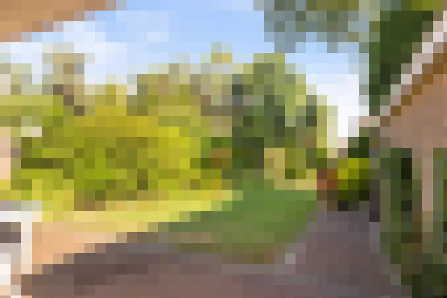 Paltzerweg 185 Den Dolder thumbnail 28