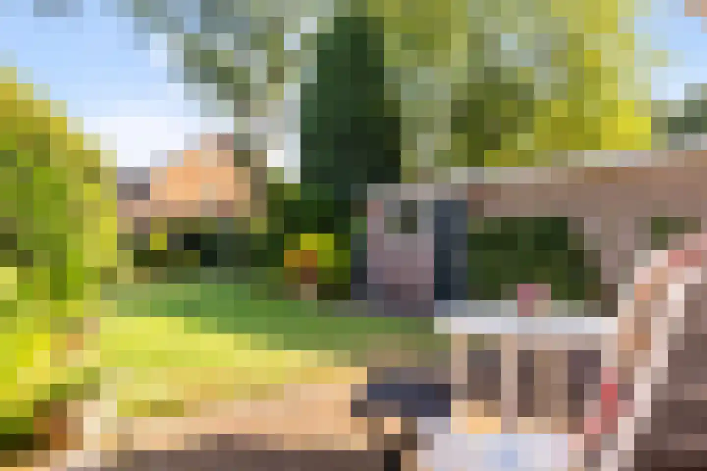 Paltzerweg 185 Den Dolder thumbnail 29
