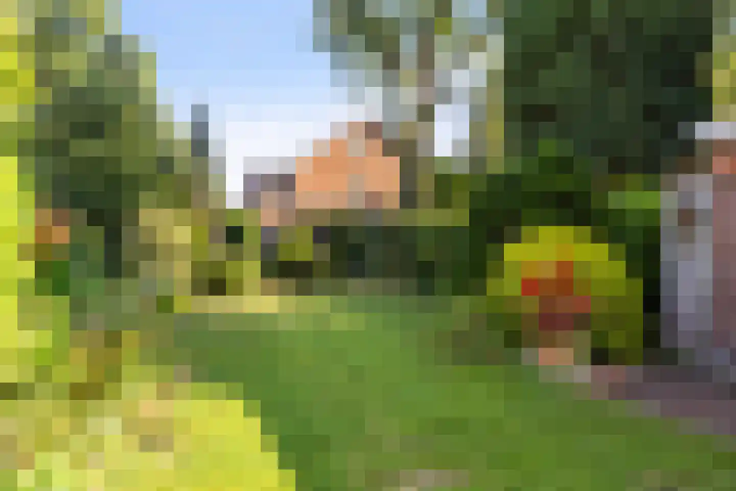 Paltzerweg 185 Den Dolder thumbnail 30