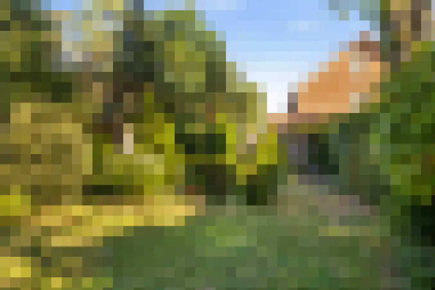 Paltzerweg 185 Den Dolder thumbnail 31
