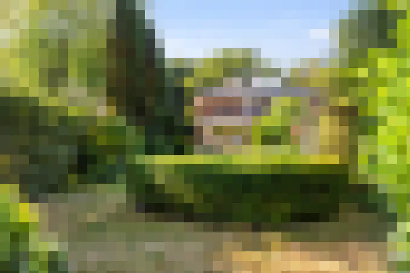Paltzerweg 185 Den Dolder thumbnail 32