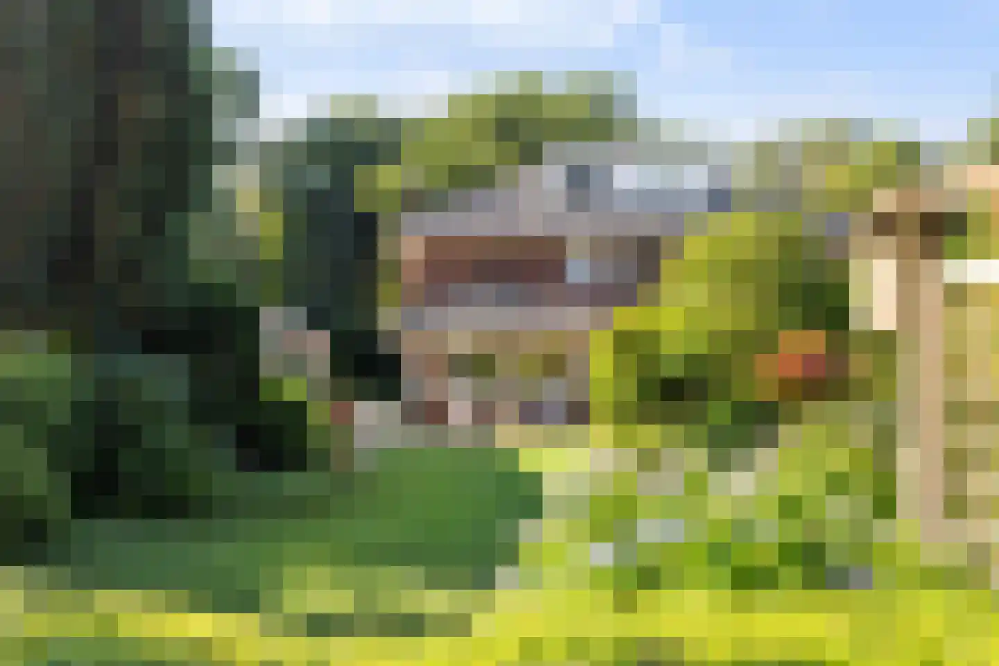 Paltzerweg 185 Den Dolder thumbnail 33