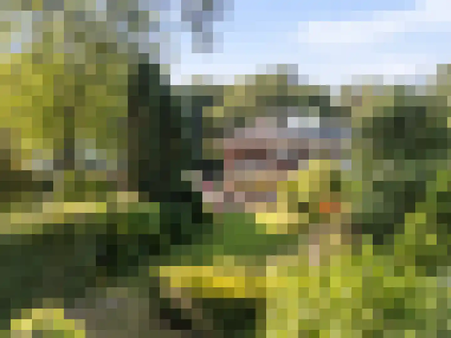 Paltzerweg 185 Den Dolder thumbnail 35