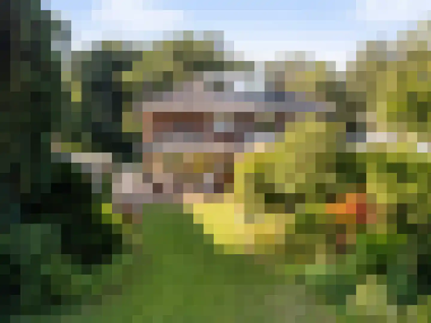 Paltzerweg 185 Den Dolder thumbnail 36