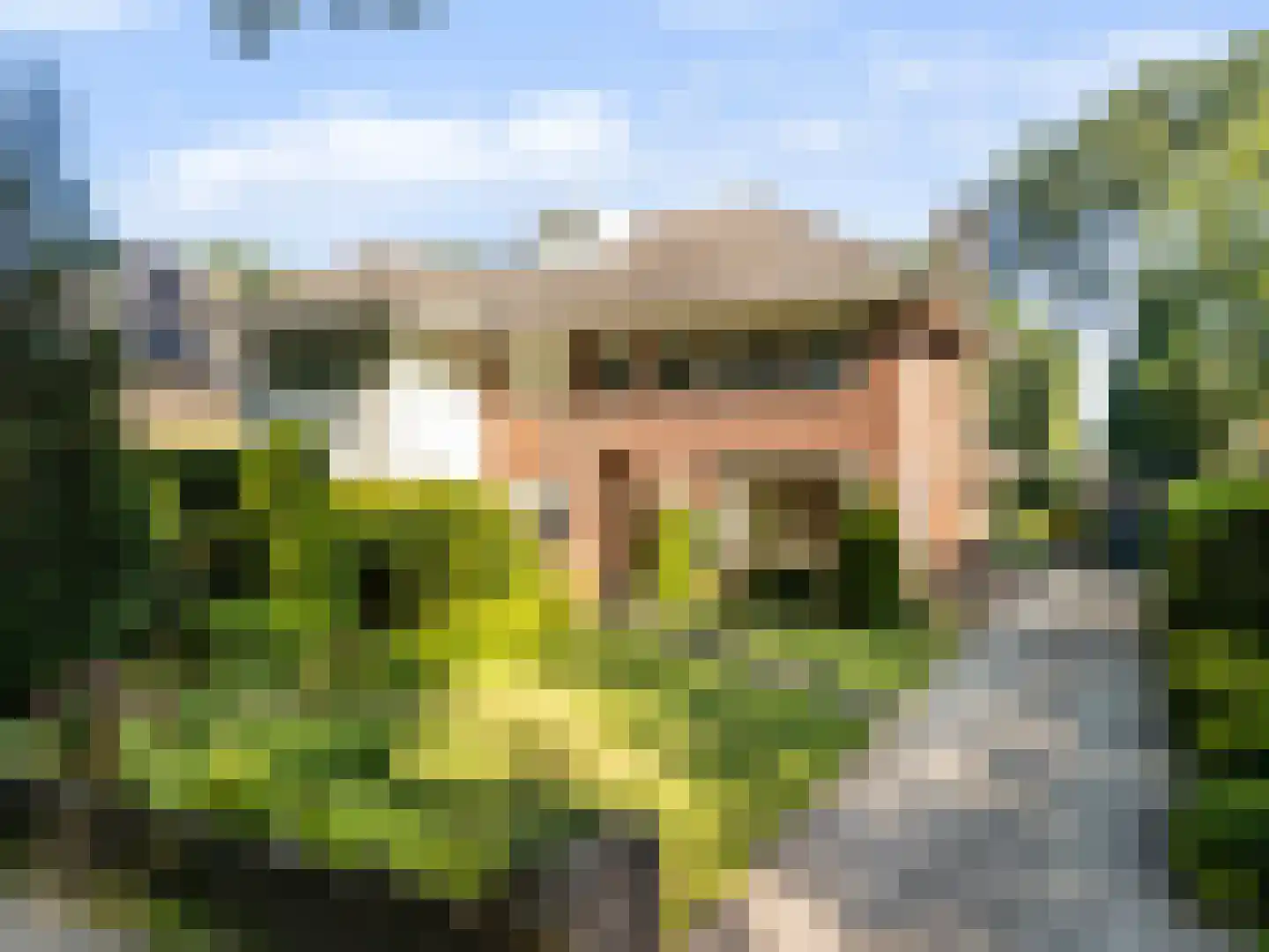 Paltzerweg 185 Den Dolder thumbnail 38