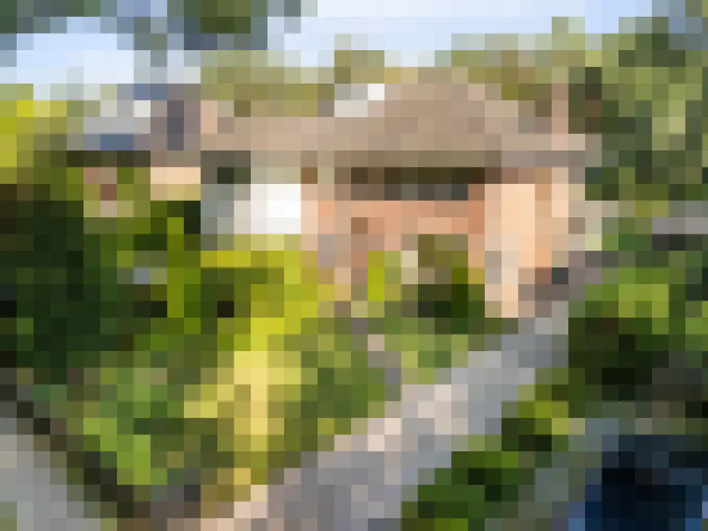 Paltzerweg 185 Den Dolder thumbnail 39