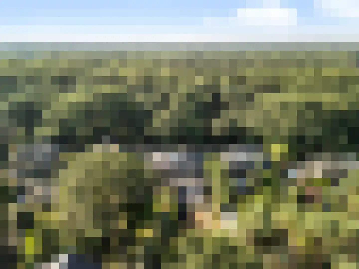Paltzerweg 185 Den Dolder thumbnail 40