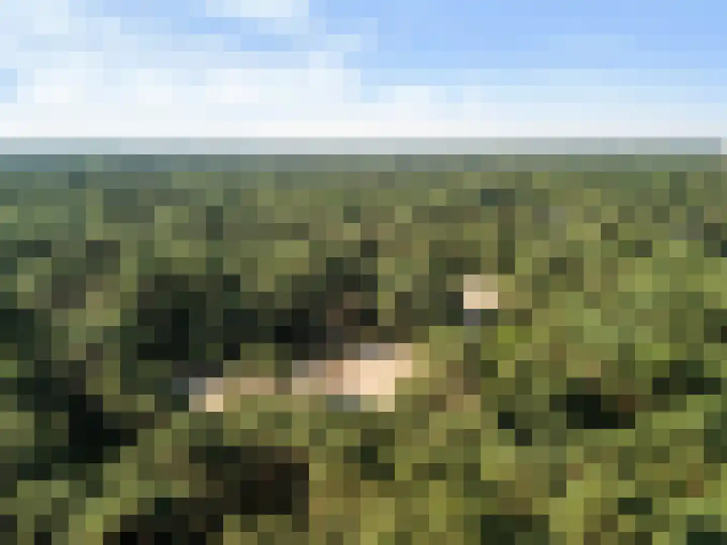 Paltzerweg 185 Den Dolder thumbnail 41