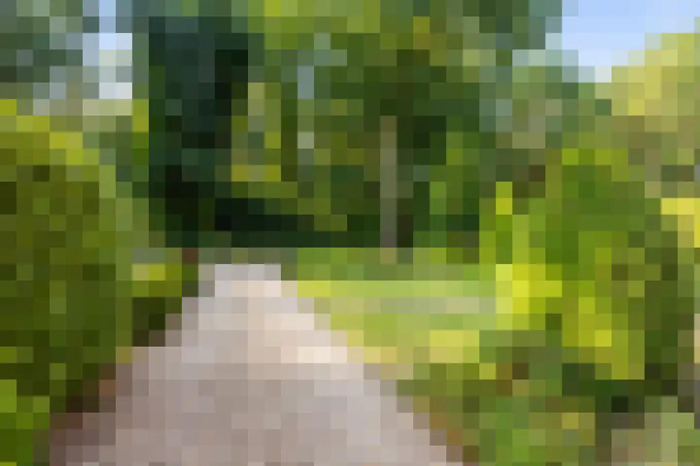 Paltzerweg 185 Den Dolder thumbnail 5