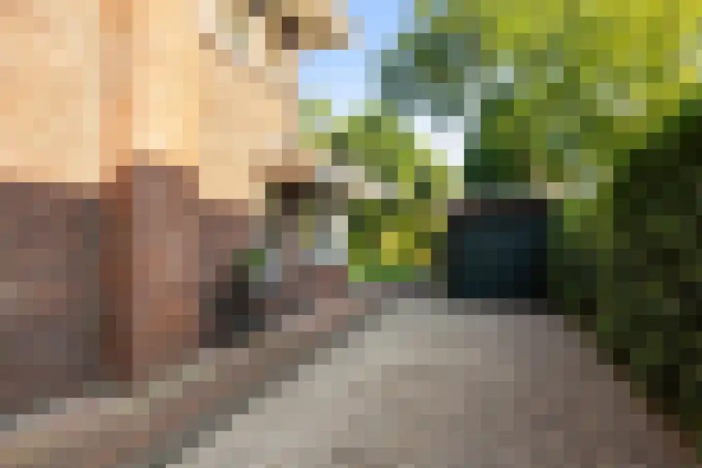 Paltzerweg 185 Den Dolder thumbnail 6