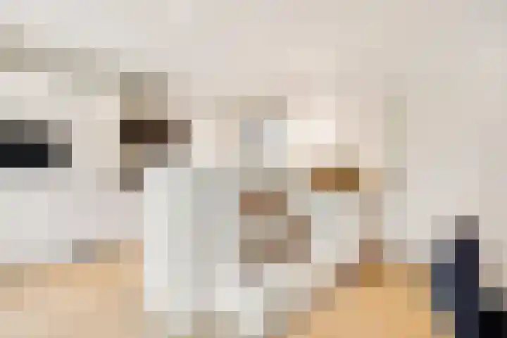 Paltzerweg 233 Den Dolder thumbnail 16