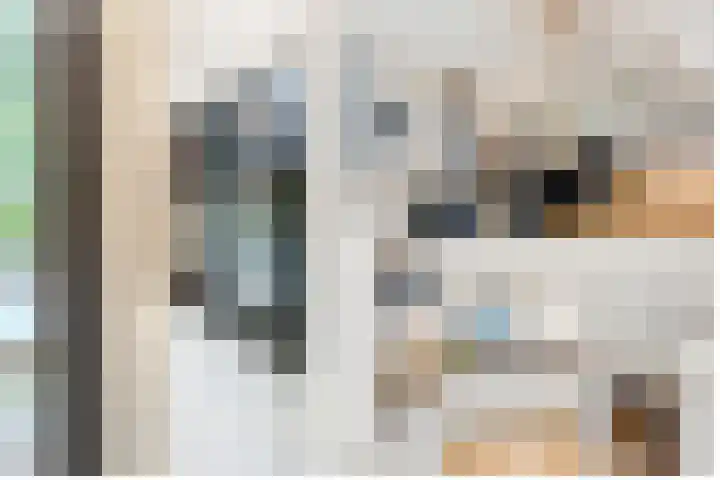 Paltzerweg 233 Den Dolder thumbnail 17