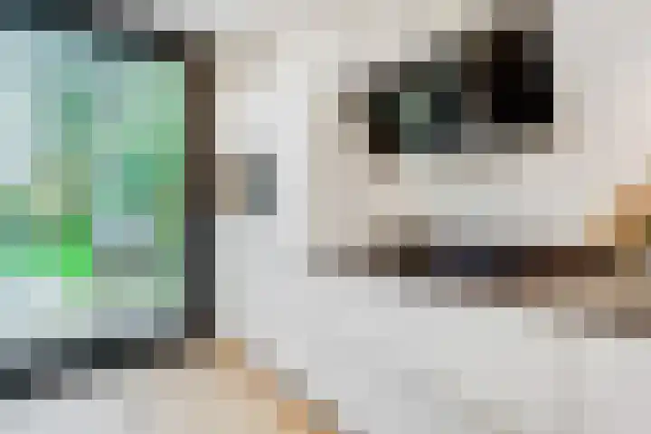 Paltzerweg 233 Den Dolder thumbnail 21